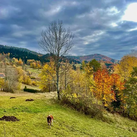Widokowe Na Szczycie *