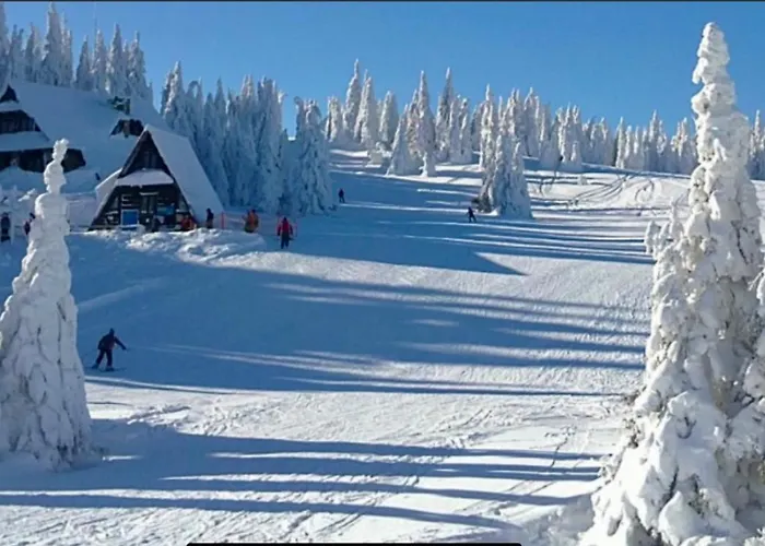 Widokowe Na Szczycie 公寓