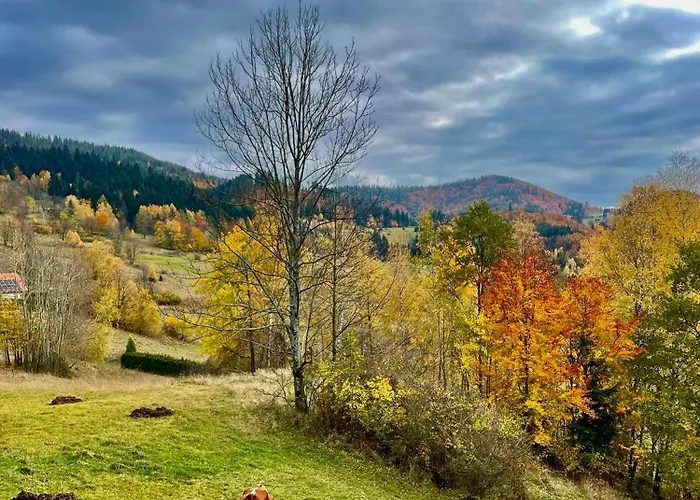 Widokowe Na Szczycie *